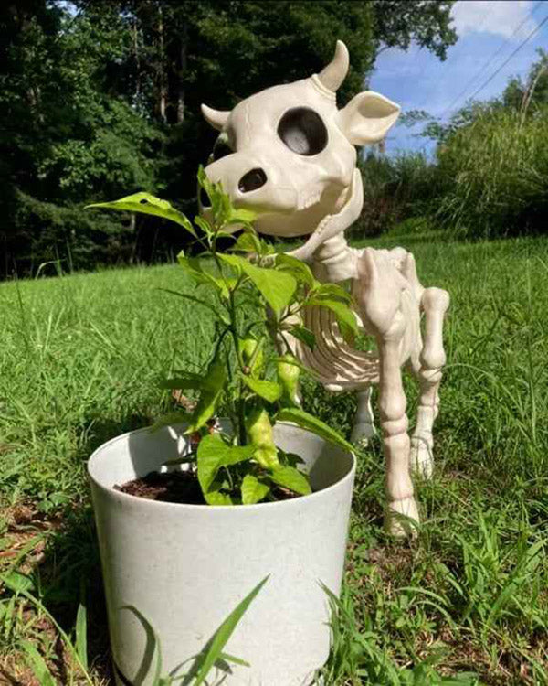 Realistic Cow & Horse Skeleton (50% OFF Today)