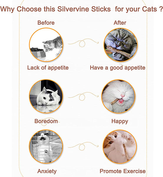 Natural Silvervine Stick Cat Chew Toy