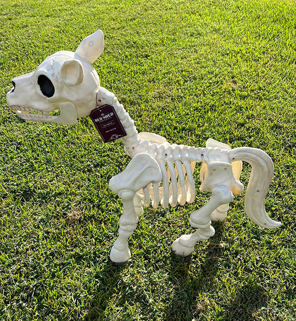 Realistic Cow & Horse Skeleton (50% OFF Today)