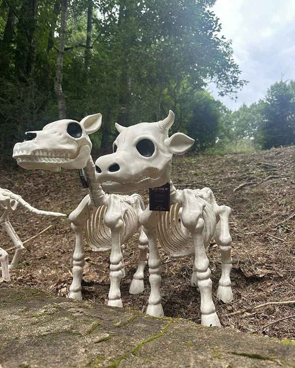 Realistic Cow & Horse Skeleton (50% OFF Today)