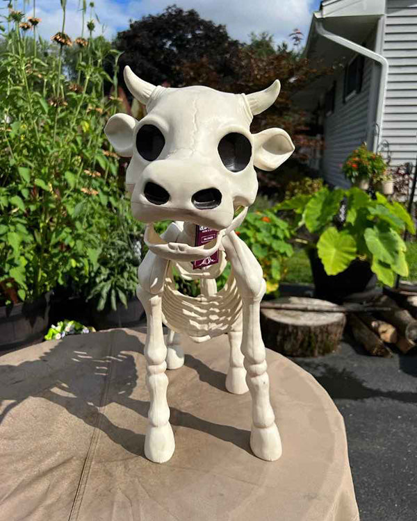 Realistic Cow & Horse Skeleton (50% OFF Today)