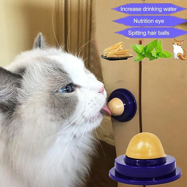 SnackCat™ Vitamin Cat Pudding (6 Units)